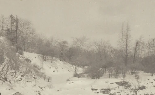 Impression, Winter by Alfred Stieglitz, photograph, 1894