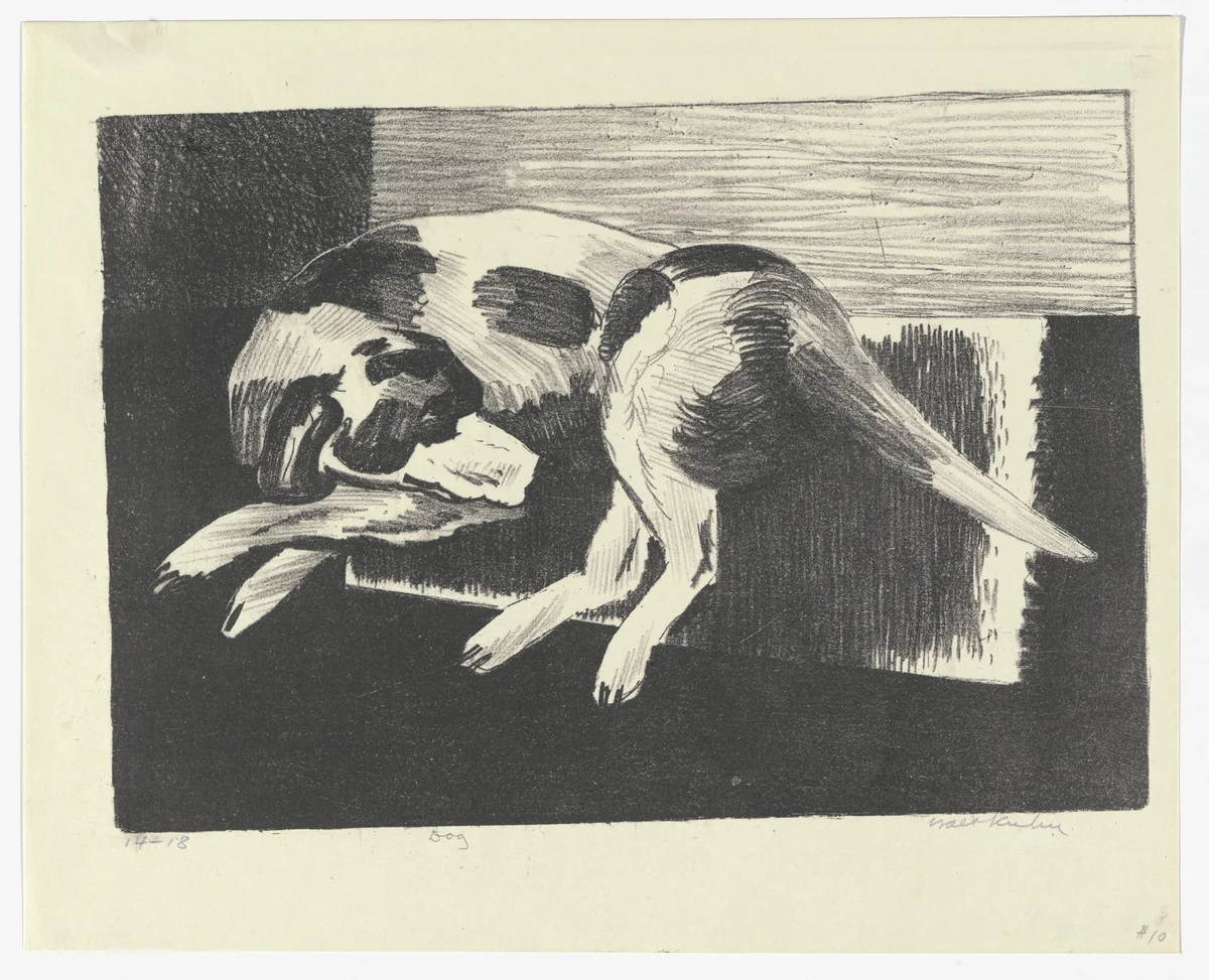 Dog by Walt Kuhn, print, 1925