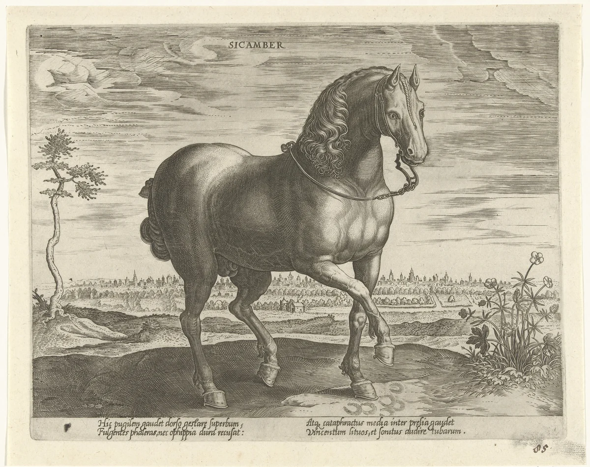 Paard uit Gelre by Unknown, print, 1578-1582