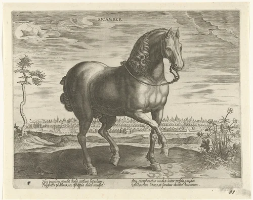 Paard uit Gelre by Unknown, print, 1578-1582