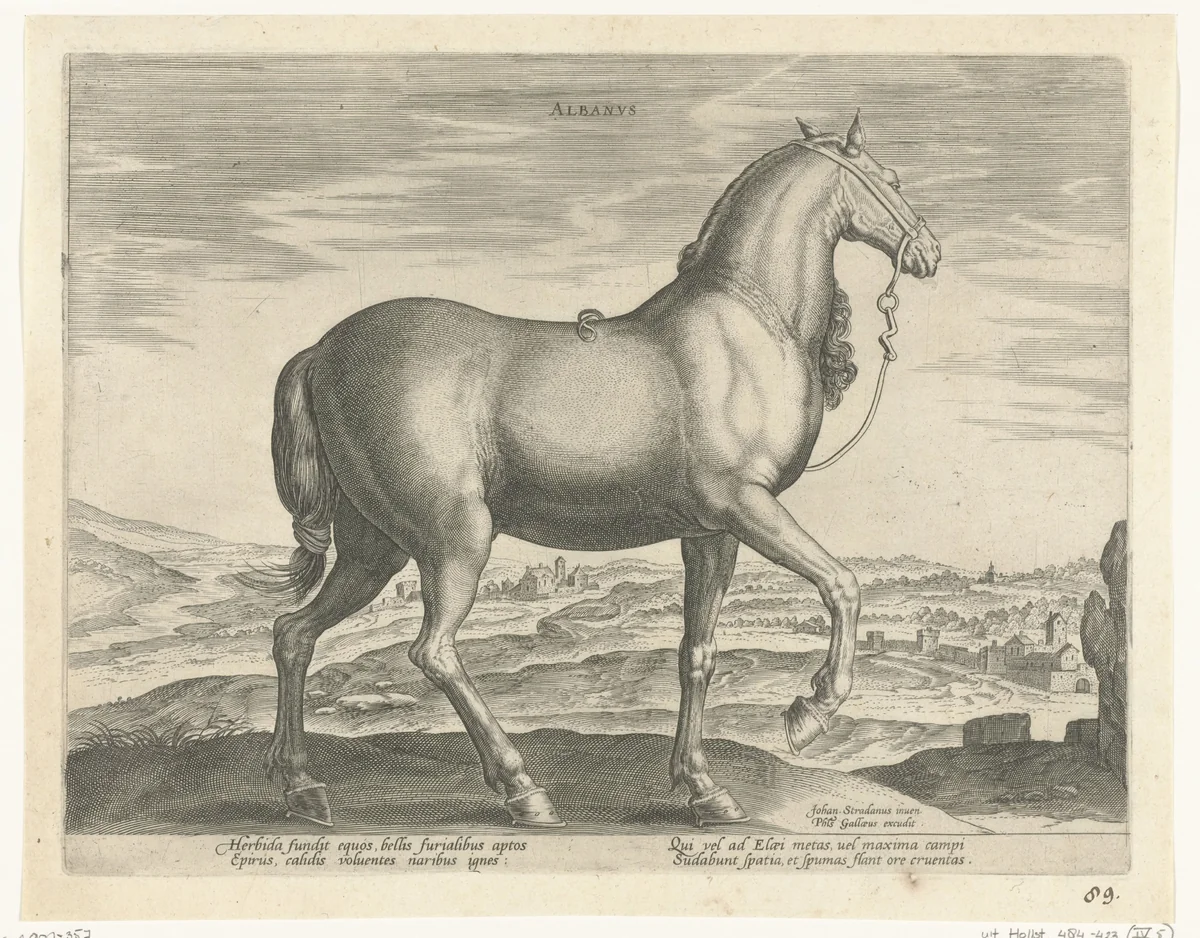 Paard uit Albanië by Unknown, print, 1578-1582
