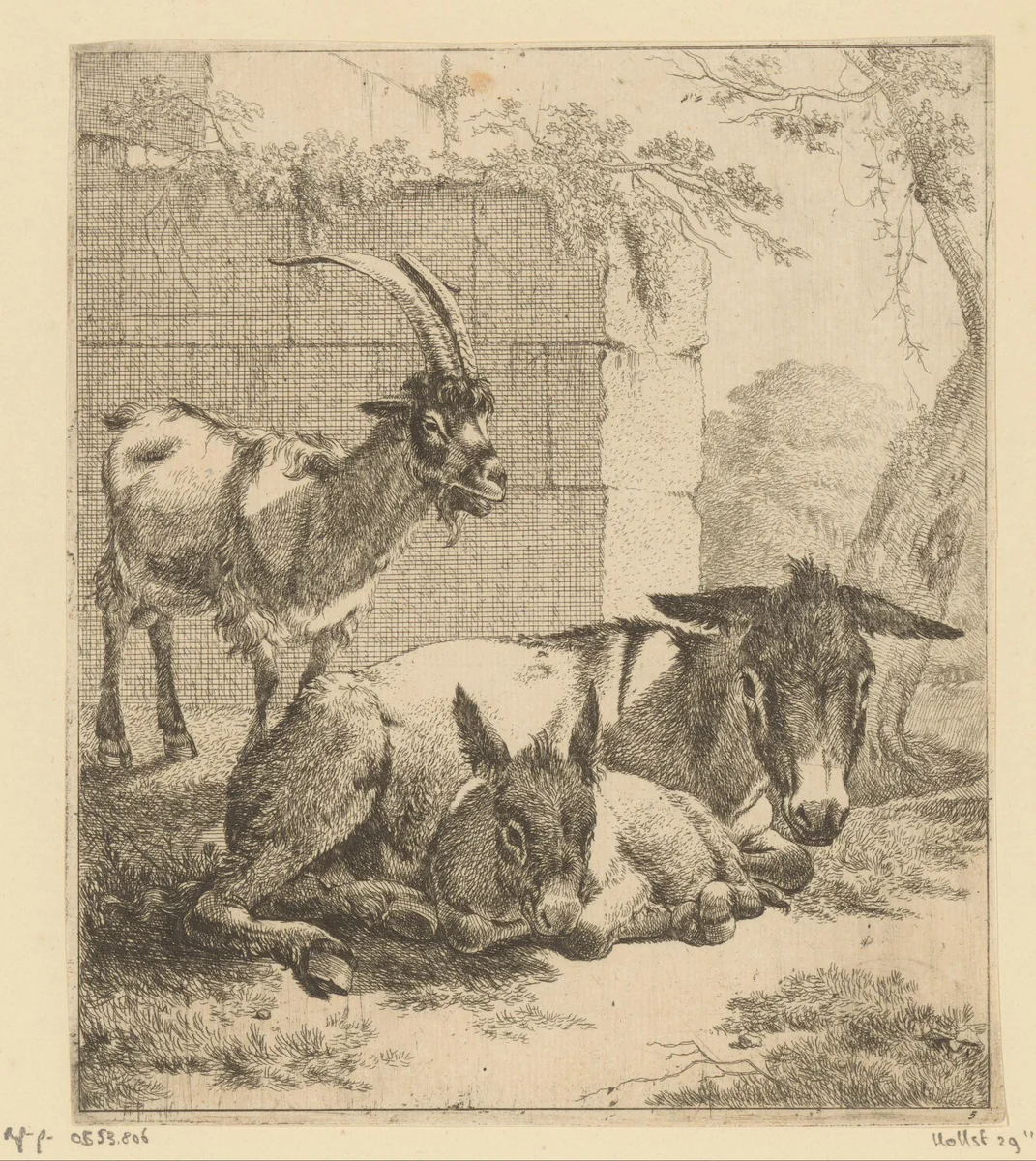 Liggende ezel met jong en staande geit voor een muur by Johann Heinrich Roos, print, 1668-1670