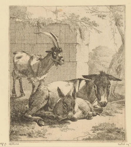 Liggende ezel met jong en staande geit voor een muur by Johann Heinrich Roos, print, 1668-1670