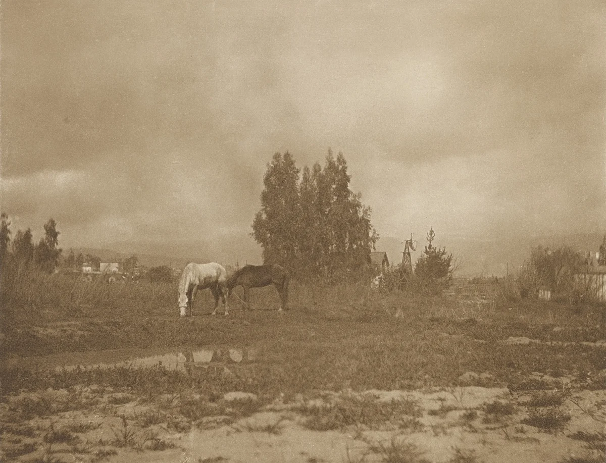 Pasadena Landscape by William B. Post, photograph, 1900