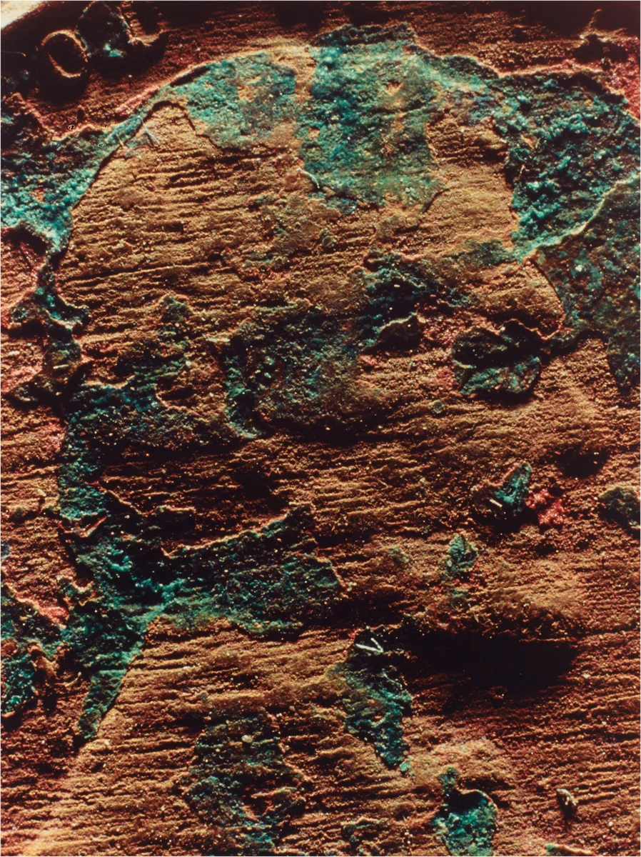 Copperhead #50 by Moyra Davey, photograph, 1990