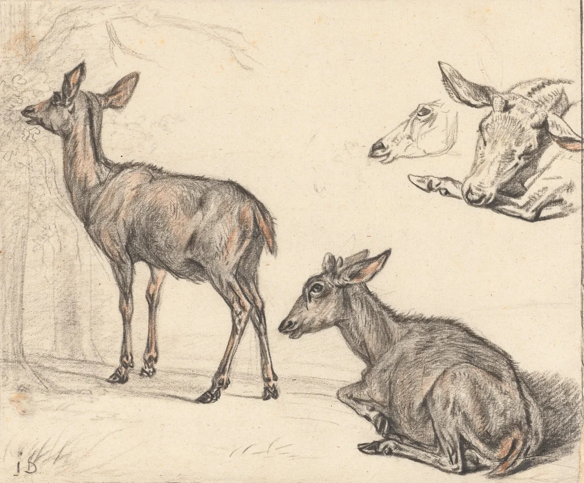 Studies van een hert by Jan Dasveldt, drawing, 1780-1855