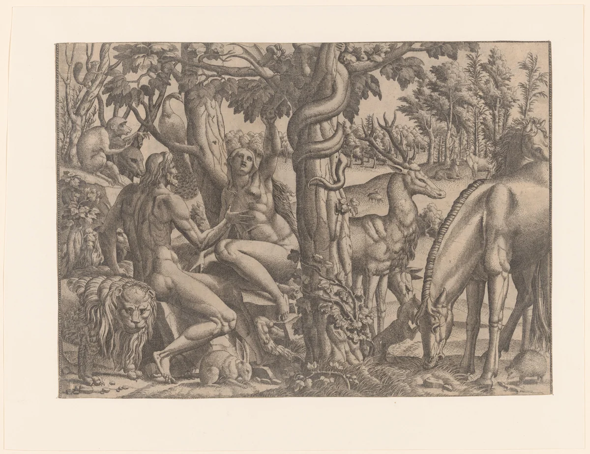 Adam en Eva in het Paradijs by Unknown, print, 1543-1545