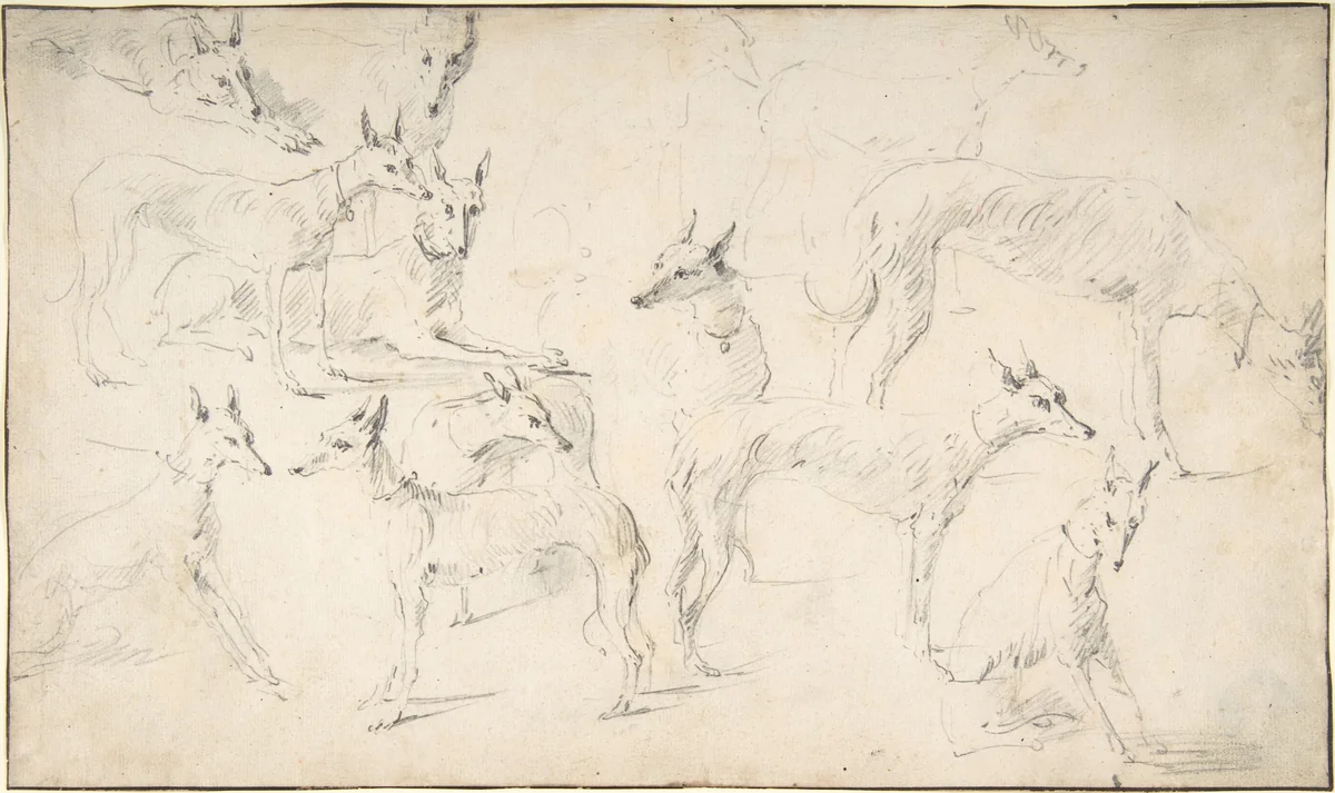 Studies of Hounds by David Teniers the Younger, drawing, 1620-1690