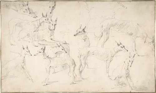 Studies of Hounds by David Teniers the Younger, drawing, 1620-1690