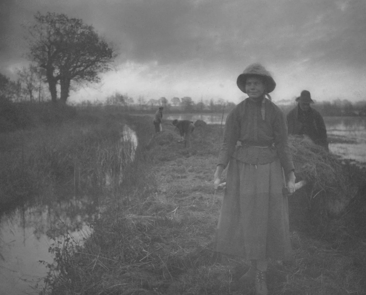 Poling the Marsh Hay by Peter Henry Emerson, photograph, 1886