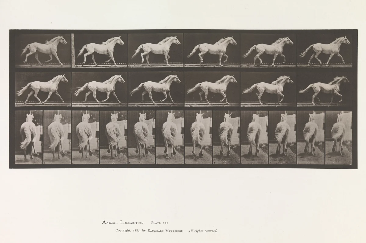 Animal Locomotion. An Electro-Photographic Investigation of Consecutive Phases of Animal Movements. Commenced 1872 - Completed 1885. Volume IX, Horses by Eadweard Muybridge, book, 1887