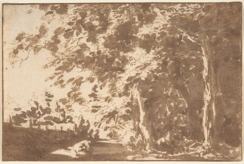 A Path in the "Haagse Bos", The Hague by Jan de Bisschop, drawing, 1648-1671