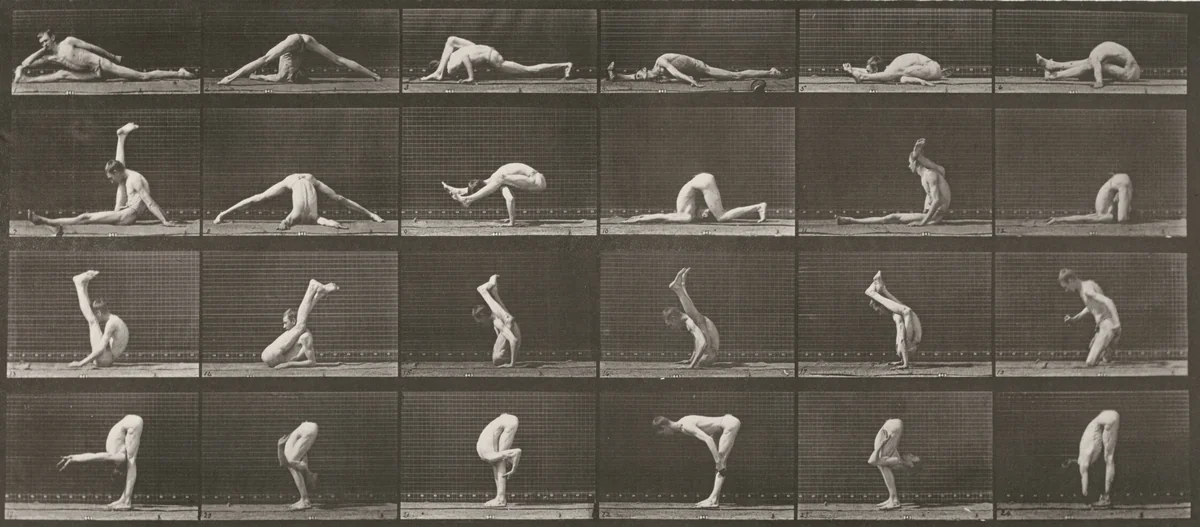 Plate Number 510. Contortions on the ground by Eadweard Muybridge, photograph, 1887