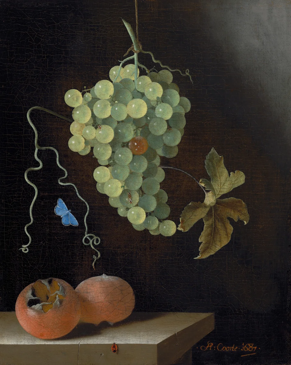 Still Life with a Hanging Bunch of Grapes, Two Medlars, and a Butterfly by Adriaen Coorte, painting, 1687