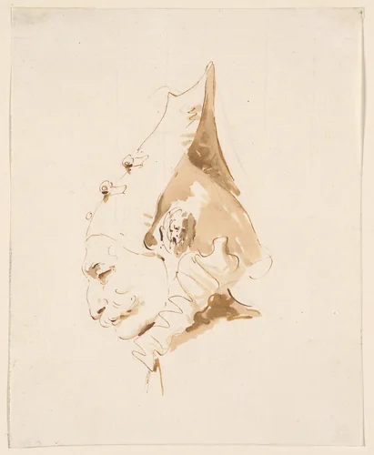 Head of a Man in Profile to the Left by Giovanni Battista Tiepolo, drawing, 1737-1748