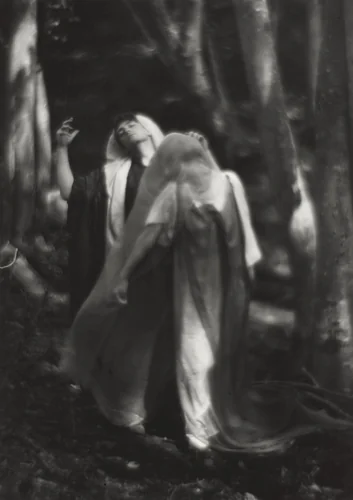 Woods Beyond the World by Imogen Cunningham, photograph, 1912