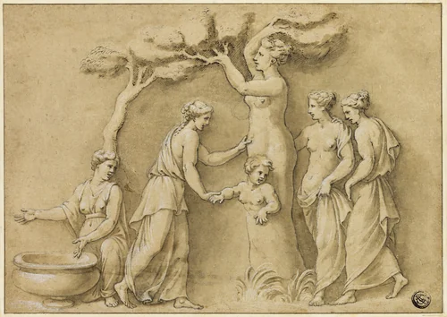 Birth of Adonis by Giulio Romano, drawing, 1500-1600