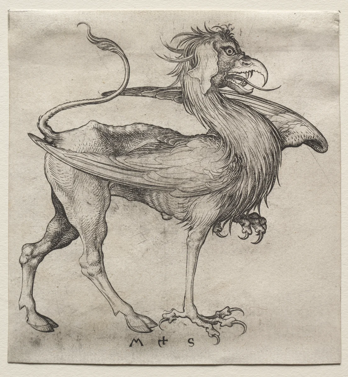 The Griffin by Martin Schongauer, print, 1475-1495