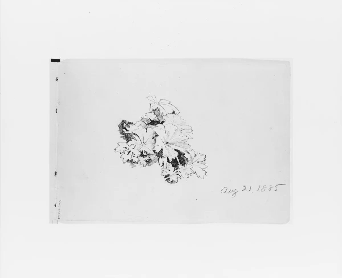 Aug 21 1885: Nature Study (from Sketchbook X) by William Trost Richards, artwork, 1885