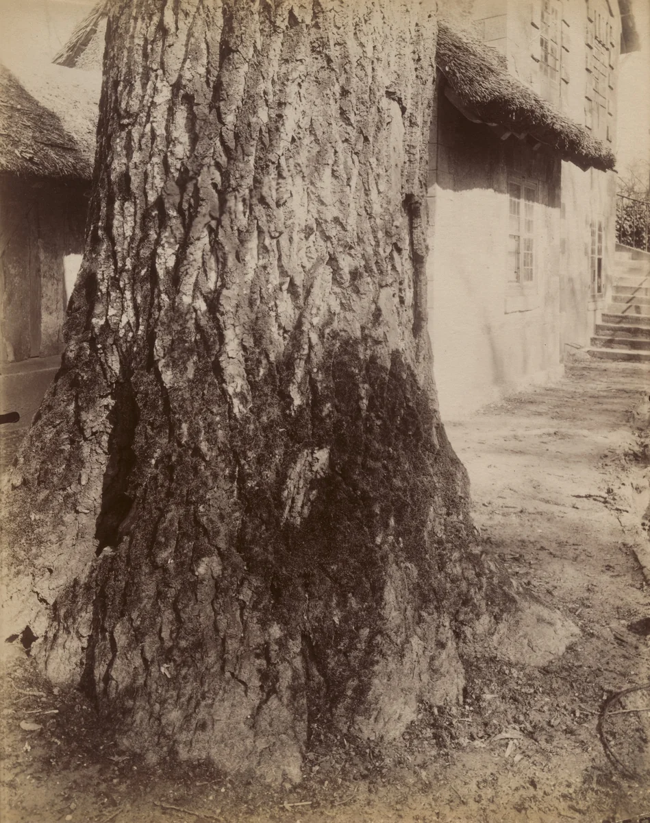 Trianon by Eugène Atget, photograph, 1910