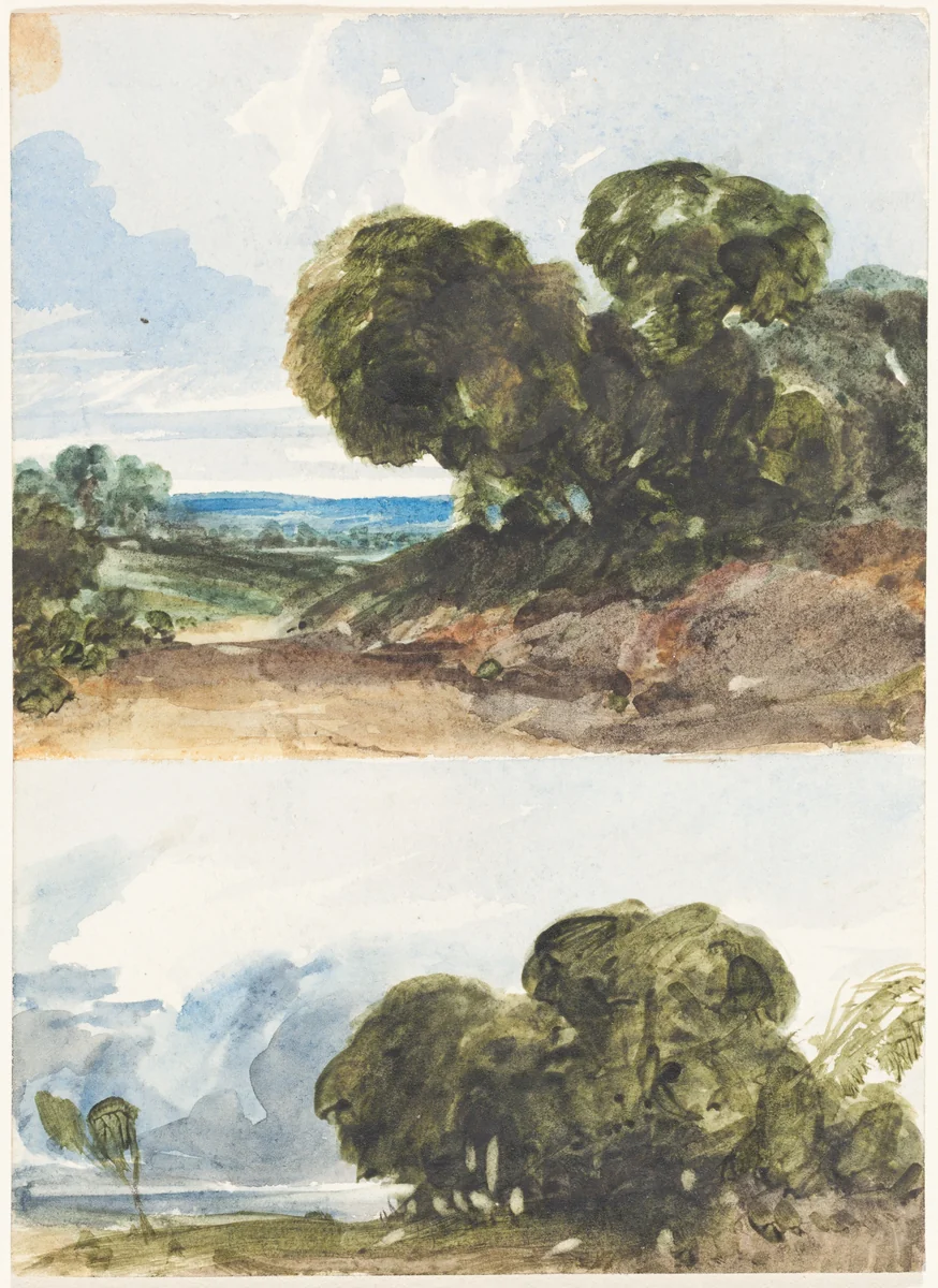Two Sketches of Trees by James Bulwer, drawing, 1794-1874
