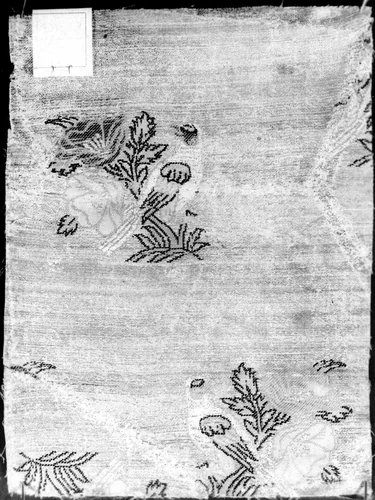 Panel (Dress Fabric) by Iran, textile, 1701-1800