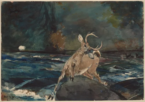 A Good Shot, Adirondacks by Winslow Homer, drawing, 1892