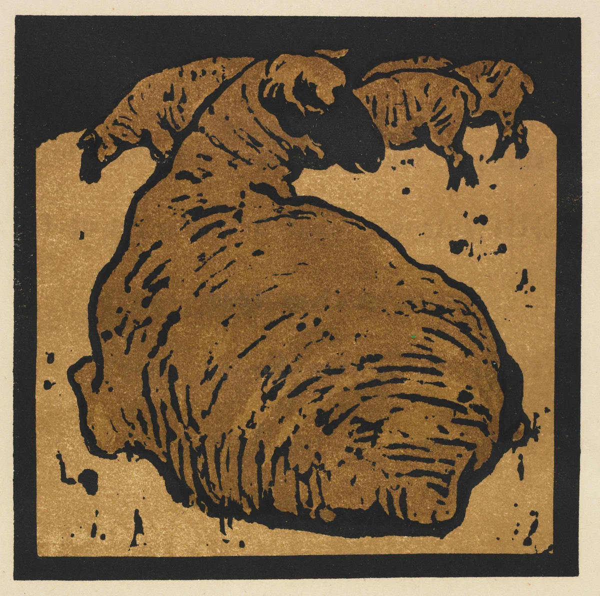 The Square Book of Animals: The Simple Sheep by William Nicholson, print, 1899