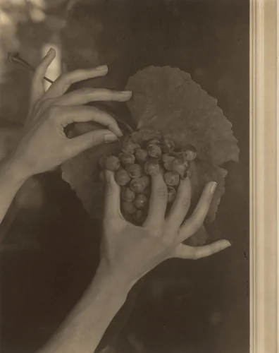 Georgia O'Keeffe—Hands and Grapes by Alfred Stieglitz, photograph, 1921