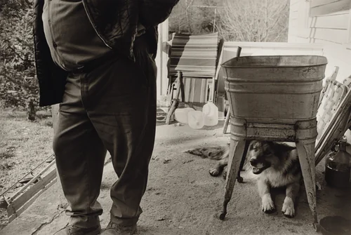 John Sabatine, Martins Creek, Pennsylvania by Larry Fink, photograph, 1979