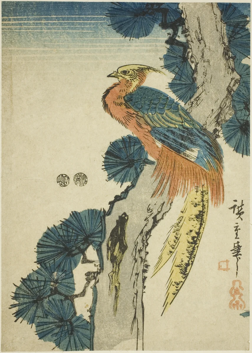 Pheasant and pine tree by Utagawa Hiroshige (歌川広重), print, 1842-1857
