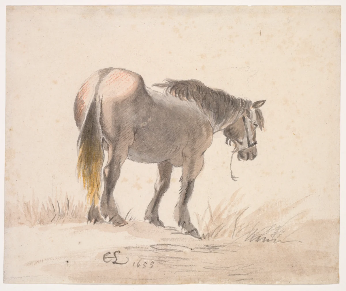 Horse Standing on a Mound by Cornelis Saftleven, drawing, 1655