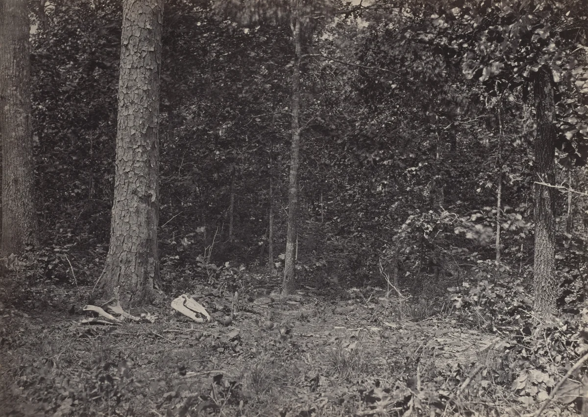 Scene of General McPherson's Death from the album Photographic Views of Sherman's Campaign by George N. Barnard, photograph, 1864