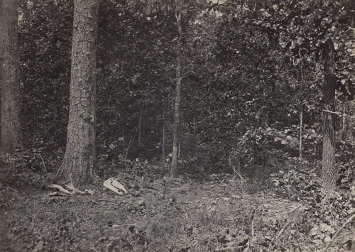 Scene of General McPherson's Death from the album Photographic Views of Sherman's Campaign by George N. Barnard, photograph, 1864