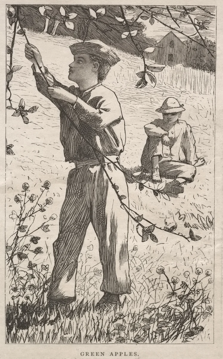 Green Apples by Winslow Homer, print, 1868