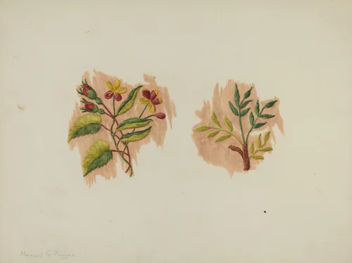 Silk Petticoat (Fragment) by Manuel G. Runyan, index of american design, 1939