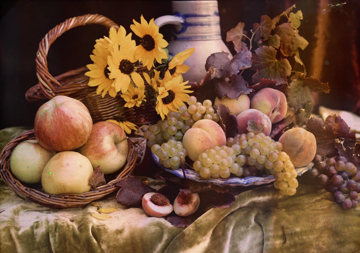 Fruit and Flowers by French 20th Century, photograph, 1910