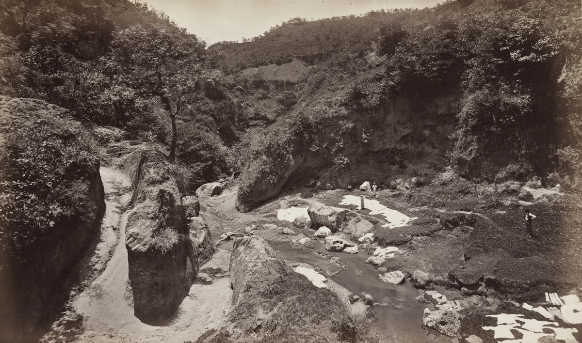 Baranca of Ynsiensi, Guatemala by Eadweard Muybridge, photograph, 1875