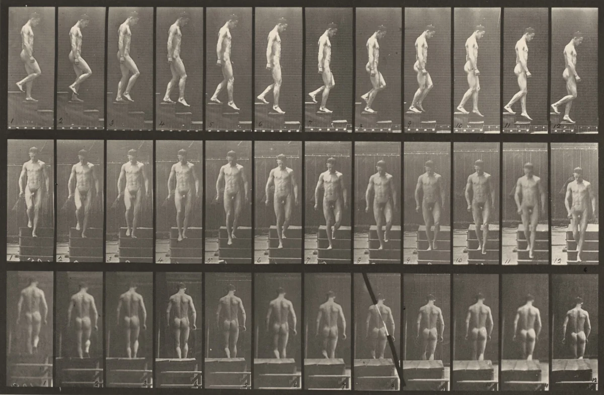 Plate Number 125. Descending stairs by Eadweard Muybridge, photograph, 1887