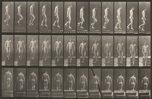 Plate Number 125. Descending stairs by Eadweard Muybridge, photograph, 1887