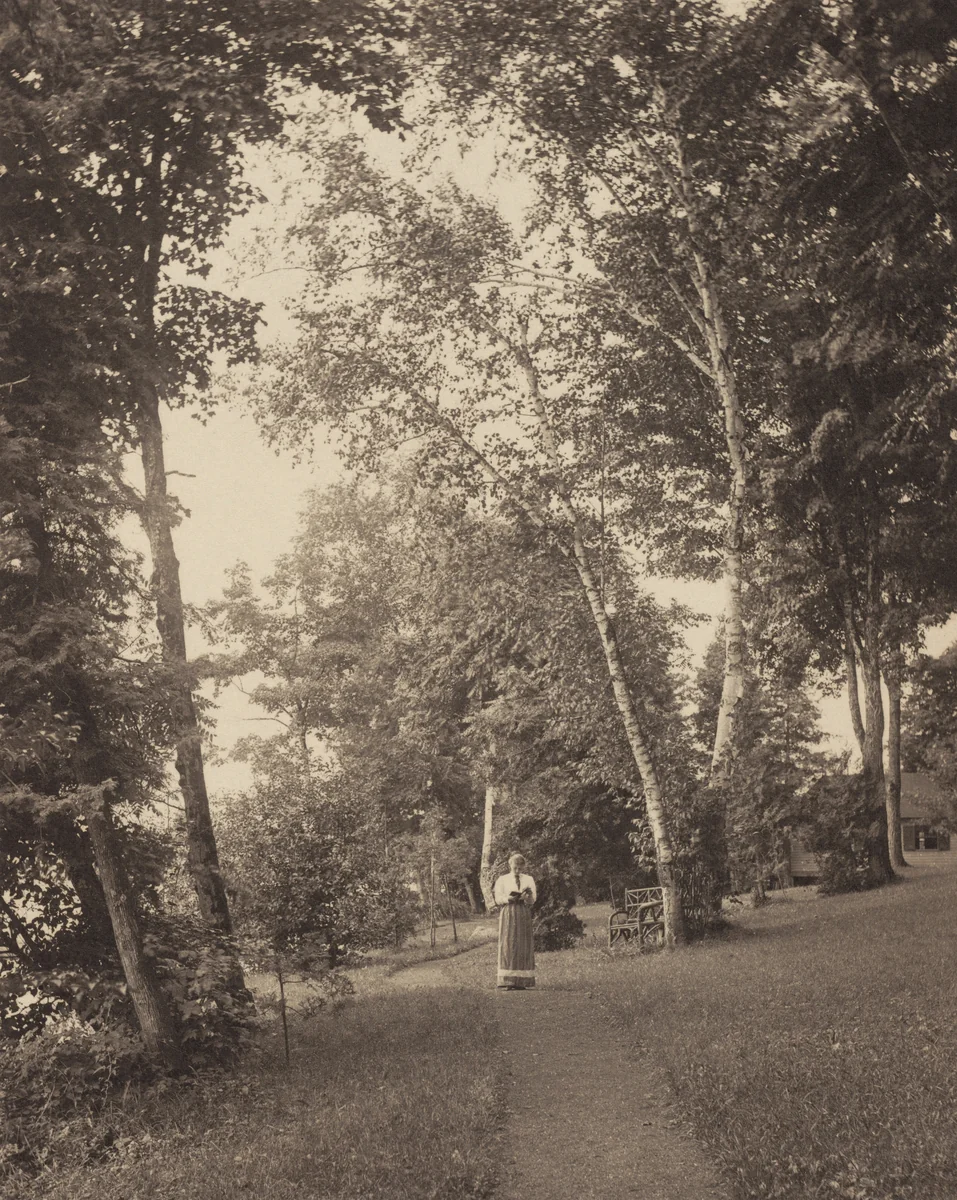 Hedwigspath, Oaklawn, Lake George by Alfred Stieglitz, photograph, 1888