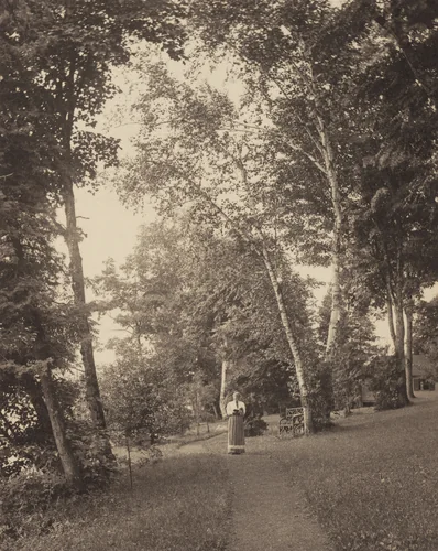 Hedwigspath, Oaklawn, Lake George by Alfred Stieglitz, photograph, 1888