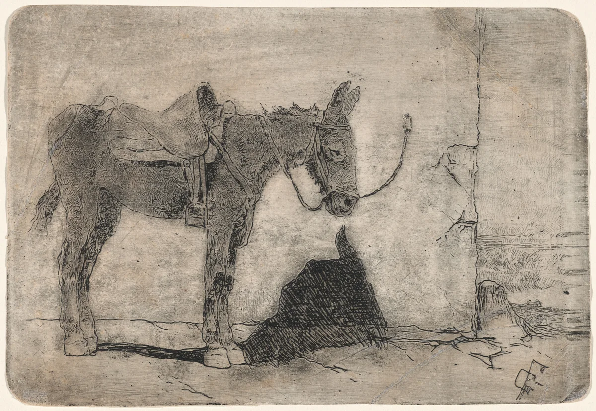 Little Donkey in Sunlight (Somarello al sole) by Giovanni Fattori, print, 1850-1900
