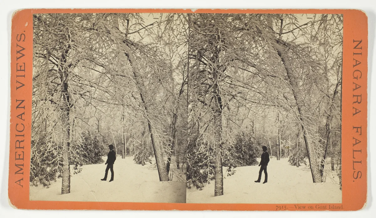 View on Goat Island, No. 7915 from the series "American Views, Niagara Falls" by Anthony & Company, photograph, 1869-1873