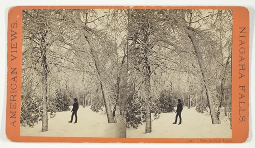 View on Goat Island, No. 7915 from the series "American Views, Niagara Falls" by Anthony & Company, photograph, 1869-1873