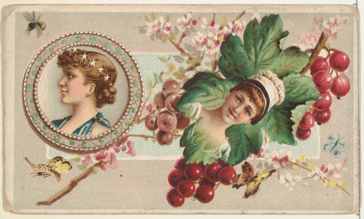 Currants and Serving Plate, from the Miniature Novelties series (N120) issued by Duke Sons & Co. to promote Honest Long Cut Tobacco by W. Duke, Sons & Co., print, 1891