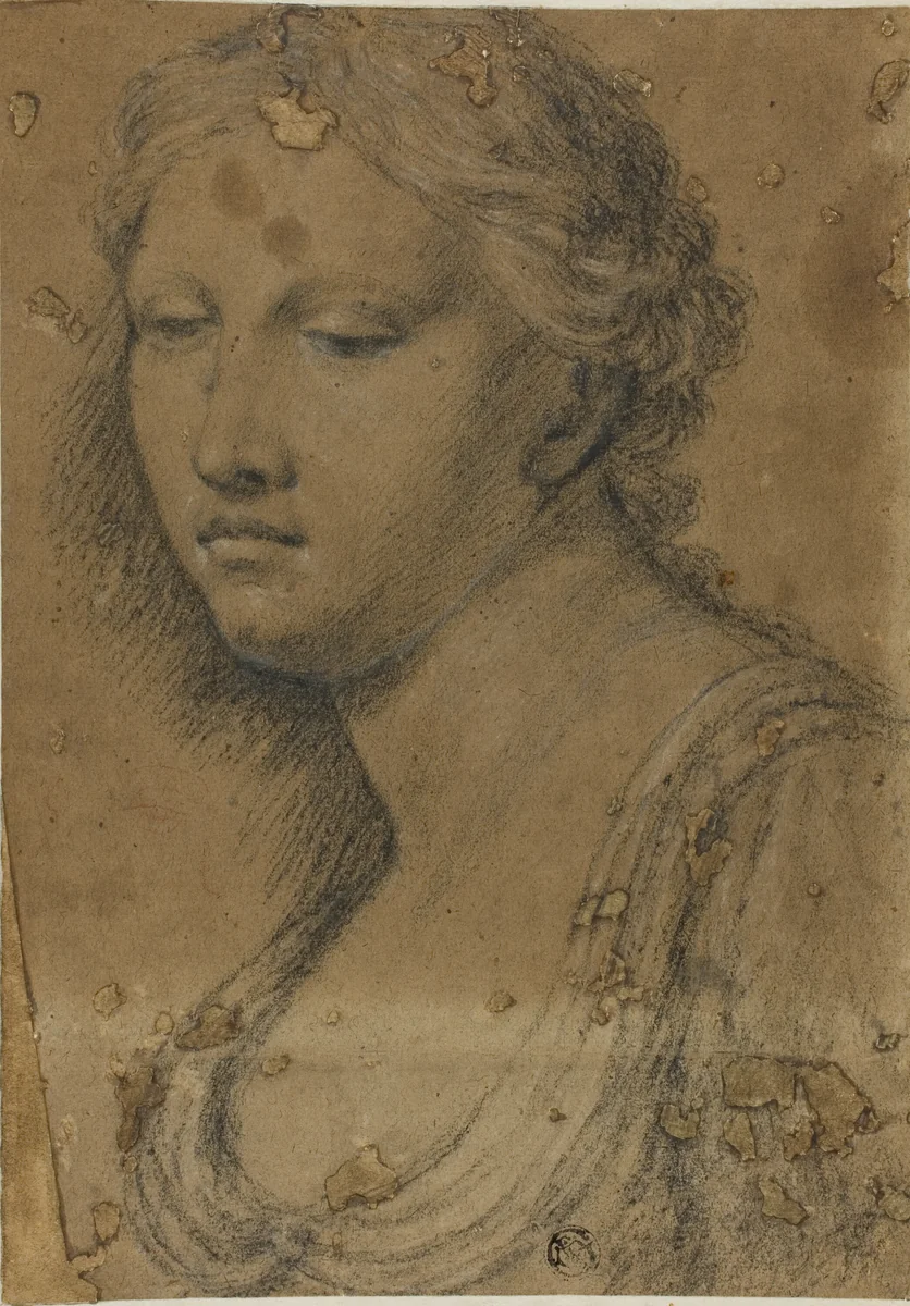 Bust of Woman by Girolamo Sellari, drawing, 1600-1699