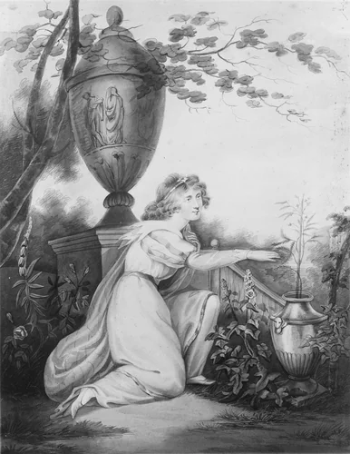 The Sensitive Plant by Maria Edgar, artwork, 1808