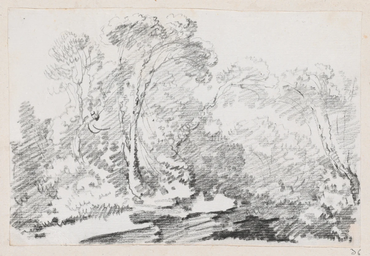 Trees by Joseph-Marie Vien, drawing, 1744-1750