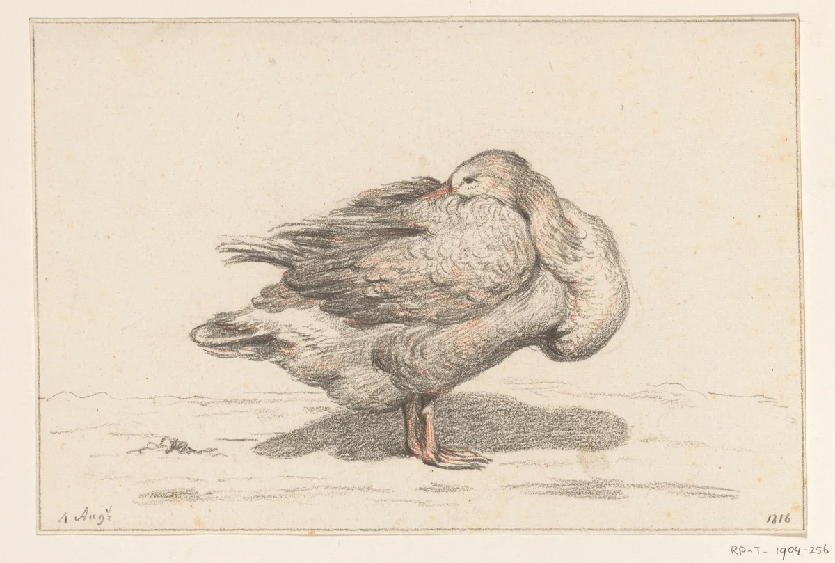 Gans by Jean Bernard, drawing, 1816